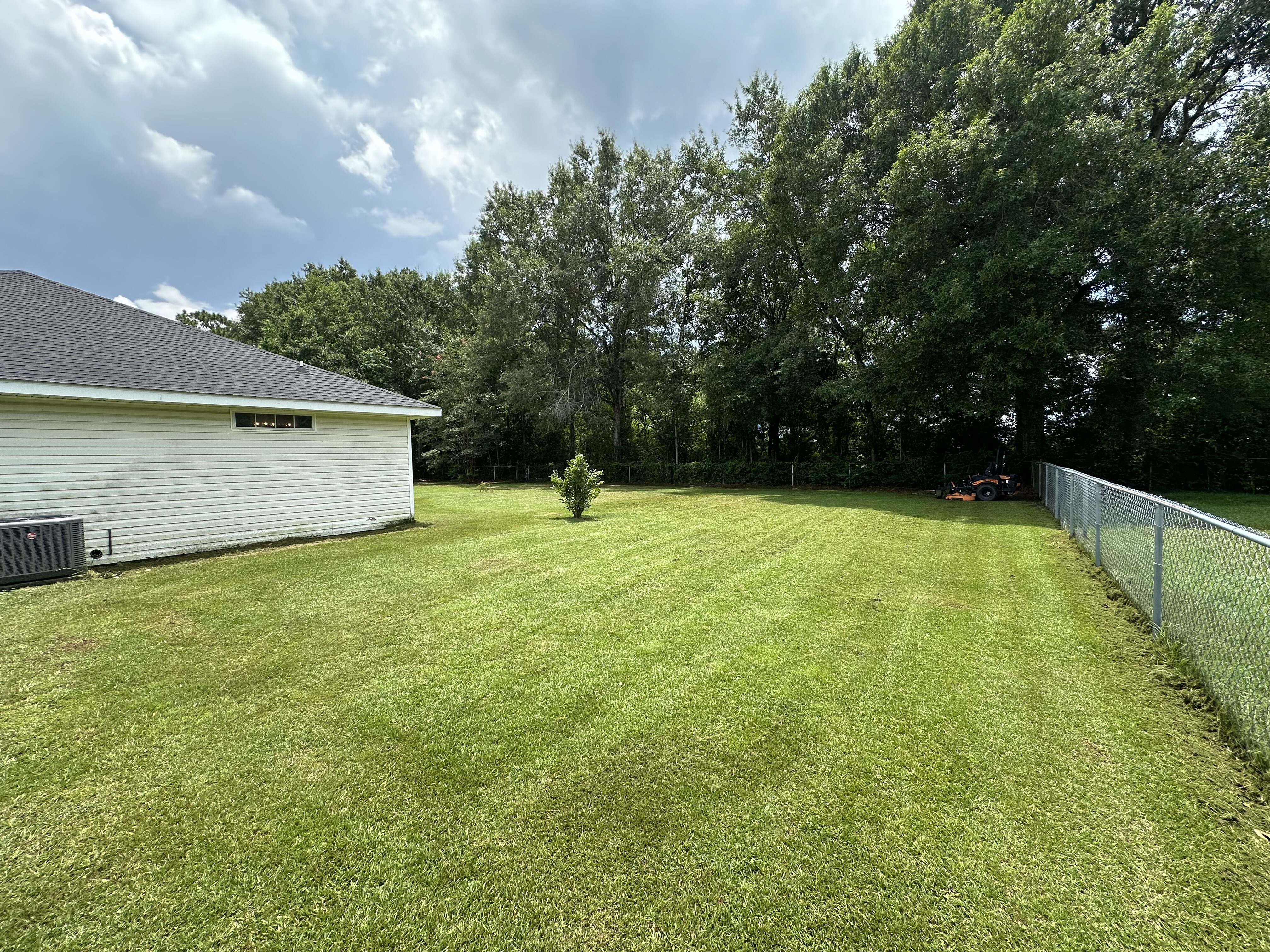 Edging and trimming detail along driveway