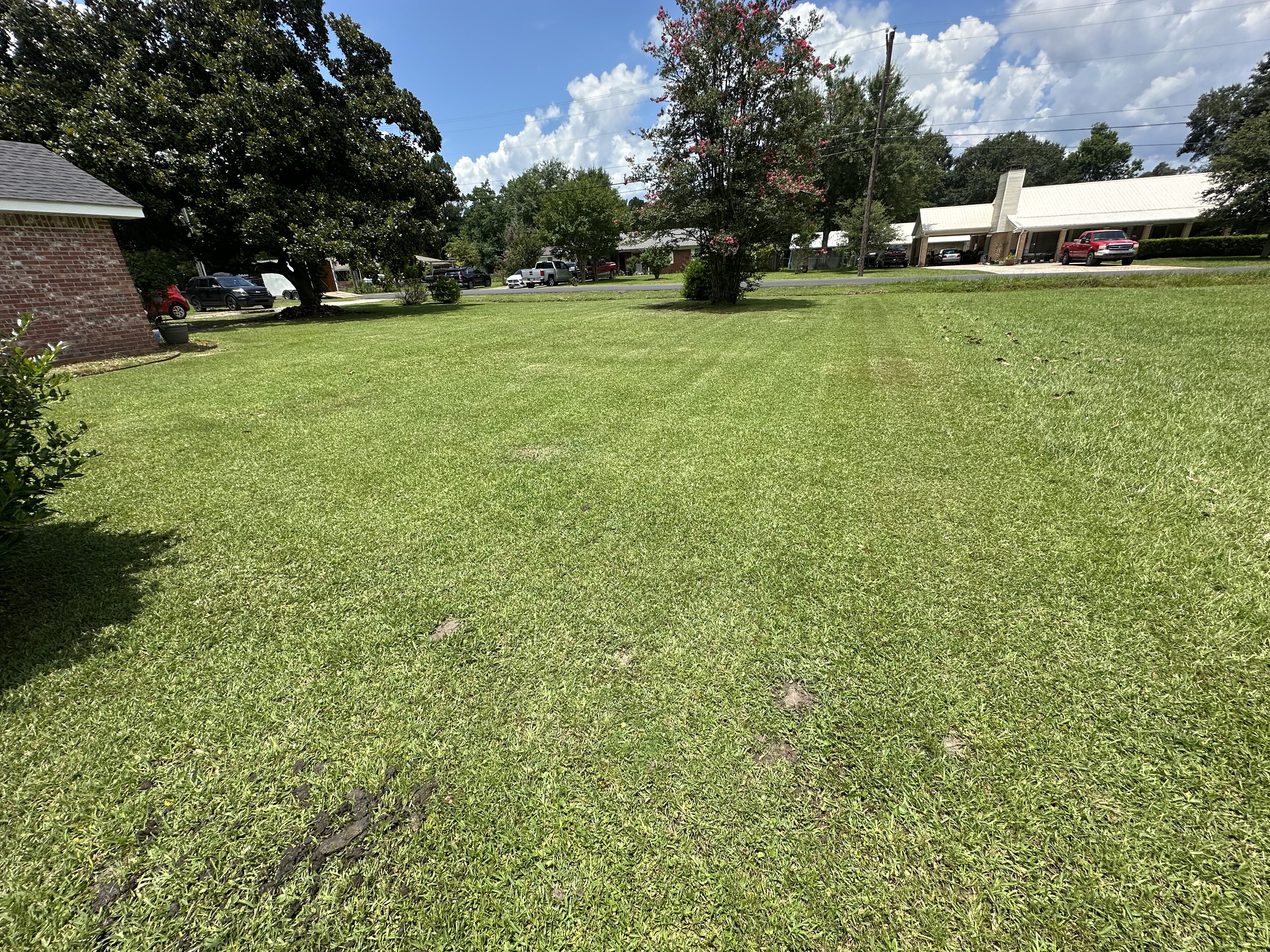 Hedge shaping and cleanup