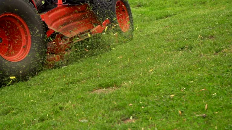 Lawn mowing and edging services in Gulfport and Biloxi, MS.