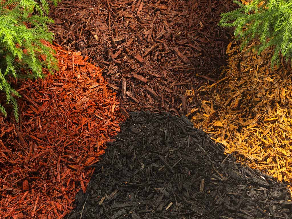 Mulch delivery and installation in flower beds and trees.