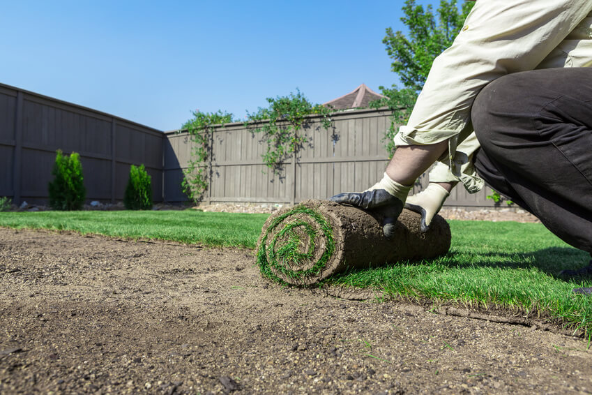 Sod installation and repair for damaged lawn areas.
