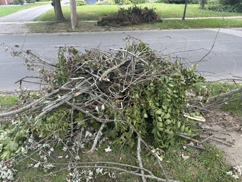 Storm cleanup and branch hauling after severe weather.