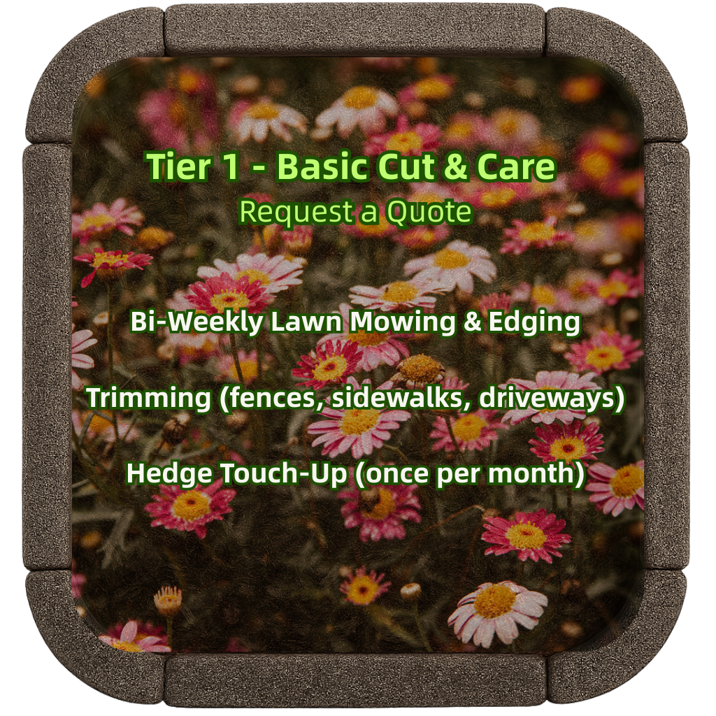 Tier 1 - Basic Cut & Care: bi-weekly lawn mowing and edging, string trimming, monthly hedge touch-up.